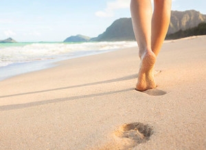 How the Three Arches of the Foot Work